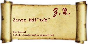 Zintz Máté névjegykártya